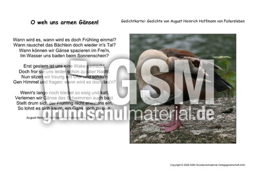 O weh uns armen Gänsen-Fallersleben.pdf